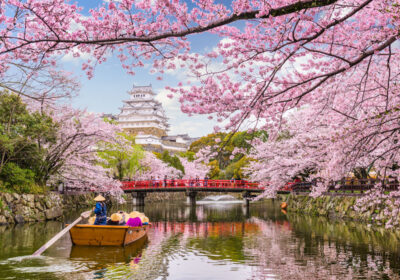 Japan Unfolded – From Cherry Blossoms to Sacred Shrines