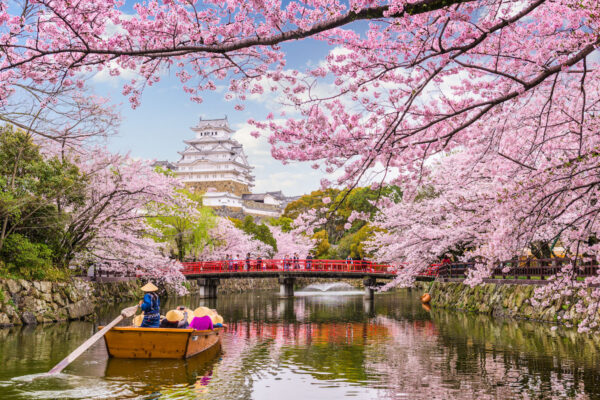 Japan Unfolded – From Cherry Blossoms to Sacred Shrines