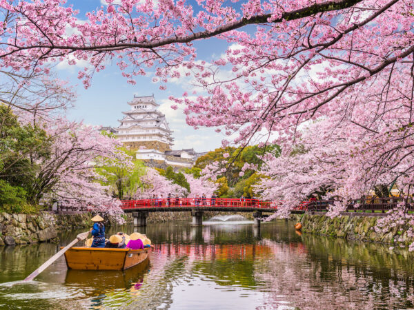 Japan Unfolded – From Cherry Blossoms to Sacred Shrines
