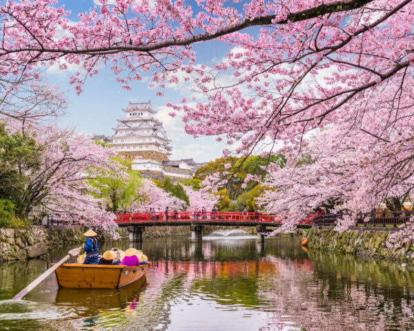 Japan Unfolded – From Cherry Blossoms to Sacred Shrines