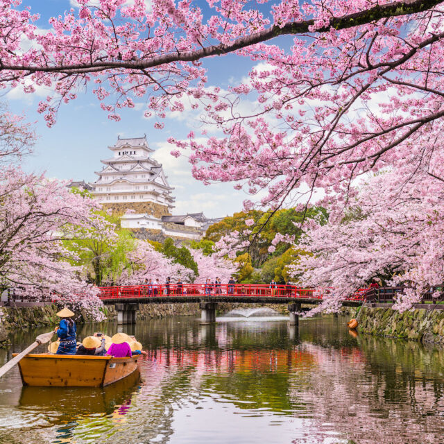 Japan Unfolded – From Cherry Blossoms to Sacred Shrines