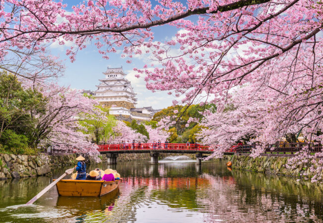 Japan Unfolded – From Cherry Blossoms to Sacred Shrines