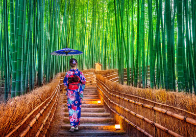 Discovering Japan Gently: A Week Through Its Quiet, Timeless Corners