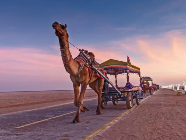 Oban, Glencoe, Highland Lochs & Castles Tour