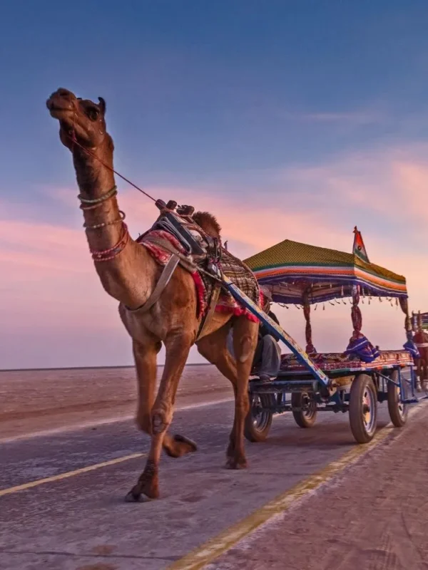 Oban, Glencoe, Highland Lochs & Castles Tour