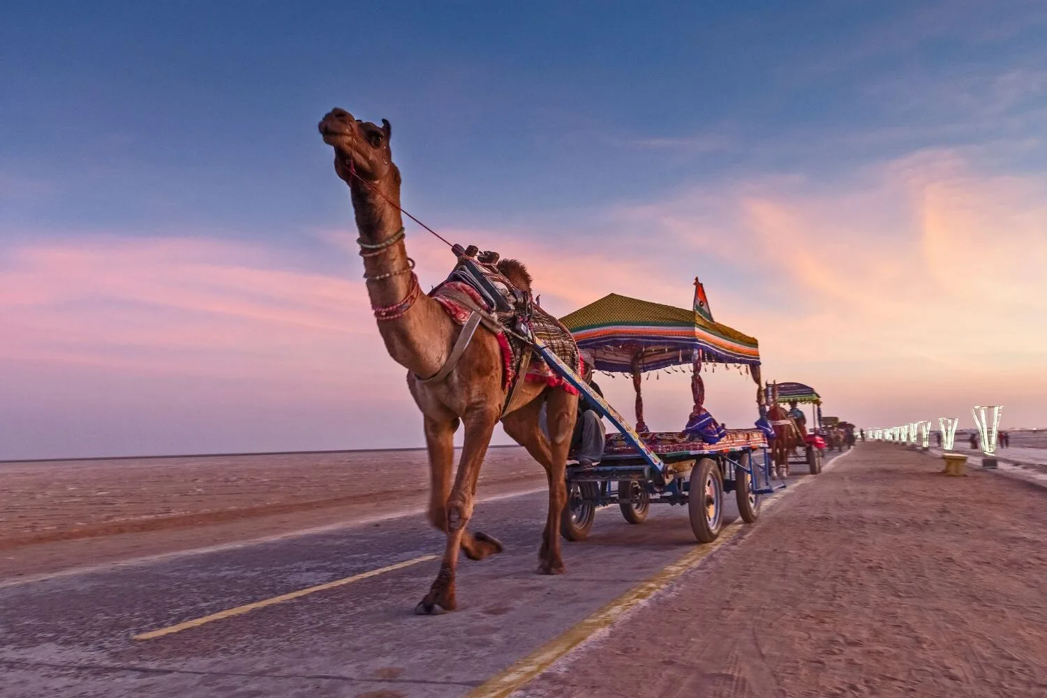 Rann of Kutch