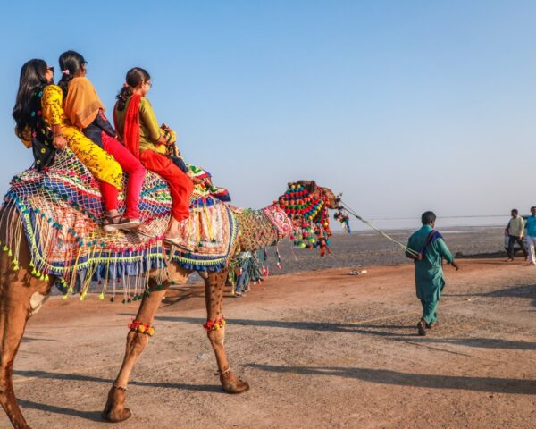 Whispers of the White Desert