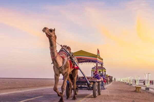 Rann of Kutch