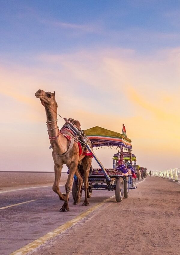 Rann of Kutch