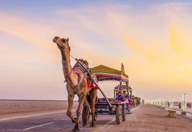 Rann of Kutch
